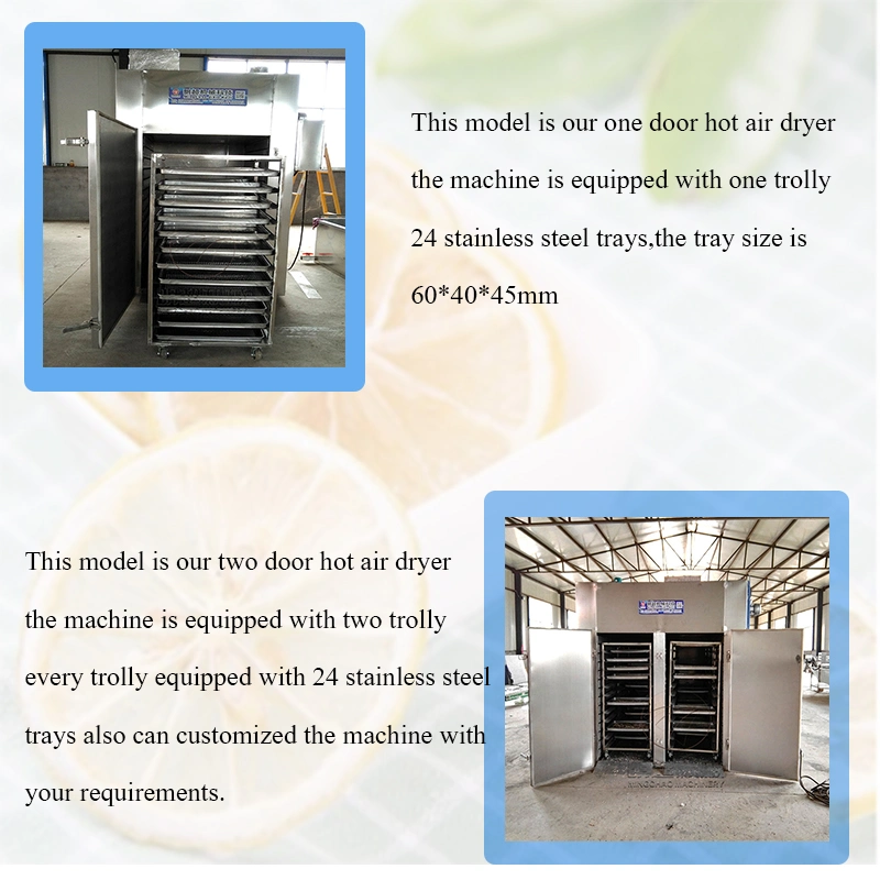 Hot Air Fruit Drying Equipment Apple Dryer